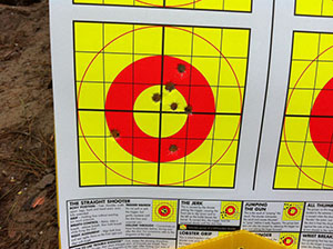 Trouble Shooter Training Targets